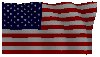Flag of the USA